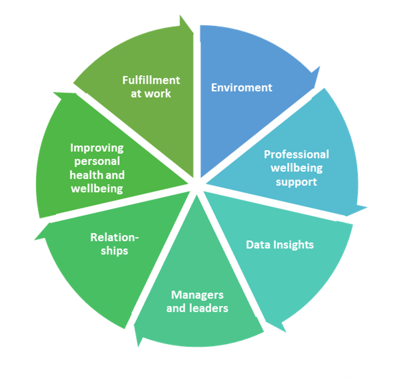 The seven areas of focus within the NHS England health and wellbeing framework