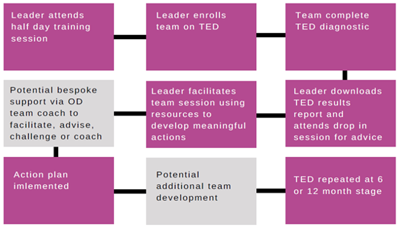 TED Tool Process